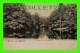 TIERGARTEN - GRUSS AUS BERLIN - ROUSSEAUINSEL, 1900 - UNDIVIDED BACK - MINT CONDITION - Tiergarten