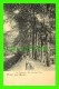 TIERGARTEN - GRUSS AUS BERLIN - EIN SCHATTIGER WEG, 1900 - ANIMATED - UNDIVIDED BACK - MINT CONDITION - Dierentuin