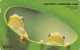 Korea, MO9804116, Frogs, 2 Scans. - Korea (Zuid)