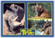 Romanèche-Thorins (71) - Parc Zoologique Et D’Attractions - Quelques Vues - Photos C. Et R. Puillandre (Rect-Vers) (JS) - Autres & Non Classés