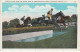 CARTOLINA: STEEPLECHASE OVER THE WATER JUMP AT SARATOGA RACE TRACK, SARATOGA SPRINGS N. Y. - VIAGGIATA - F/P - COLORI - Saratoga Springs