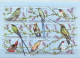 Congo MNH Birds Set, Sheetlet And 2 SSs - Kolibries