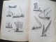 Delcampe - R. Gruss- 1943 Petit Dictionnaire De Marine. Ouvrage Illustré De 80 Planches Hors Texte D´après Les Dessins De L Haffner - Dictionnaires