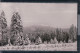 Clausthal-Zellerfeld - Blick Vom Torfhaus Zum Brocken - Winter - Clausthal-Zellerfeld