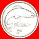 &#9733;SALMON: IRELAND &#9733; 2 SHILLINGS - FLORIN 1963! LOW START&#9733;NO RESERVE! - Irlande