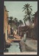 DF / ALGÉRIE / BISKRA / VIEUX BISKRA / UNE RUE DE BAB-DARB / ANIMÉE / CIRCULÉE EN 1907 - Biskra