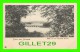 GRUSS AUS POTSDAM, GERMANY - BLICK AUF DIE GLIENICKER BRUCKE  IN 1900 - UNDIVIDED BACK - MINT CONDITION - - Potsdam