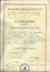 CROATIA, NDH, NEZAVISNA  DRZAVA HRVATSKA --  SCHOOL DIPLOMA,  VOCATIONAL SCHOOL    1941  -- TIMBRE FISCAL, TAX STAMP - Diploma's En Schoolrapporten