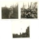 Militaires, Armes, Parcour Du Combatant, Lot De 3 Photos    (bon Etat)  Dim: 8 X 8. - Guerre, Militaire