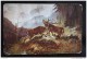 HUNT Fight DEER By MULLER Vintage Color PC  - Hunting / Chasse - Male Deer  - Old Vintage Postcard - Müller, August - München