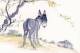 (NZ06-069  ) Painting Donkey Dos D´âne Esel Anes ,  Postal Stationery-Postsache F -Articles Postaux - Esel