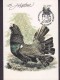 Norway Maximum Card Karte 1988 Bird Vogel Oiseau Auerhuhn (2 Scans) - Maximumkarten (MC)