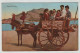 Italy Italia Italia Sicilia Carro Siciliano Horse Costume Stamp Post Card Postkarte Karte Carte Postale POSTCARD - Otros & Sin Clasificación