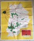 ANCIENNE CARTE DE LA SEINE ET MARNE  77 FRANCE ENVIRONS DE PARIS - Sonstige & Ohne Zuordnung