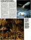 HB Bild-Atlas Bildband Naturmagazin Draußen  -  Naturpark Hochtaunus  -  Farne Erinnern An Die Vorzeit - Reise & Fun