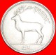 &#9733; DEER: IRELAND &#9733; 1 POUND 1990! LOW START &#9733; NO RESERVE! - Ireland