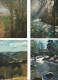 Delcampe - Lot N° 236 De 113 Cartes Postales De Paysages De Natures - 100 - 499 Postales