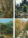 Delcampe - Lot N° 236 De 113 Cartes Postales De Paysages De Natures - 100 - 499 Postcards