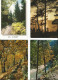 Delcampe - Lot N° 236 De 113 Cartes Postales De Paysages De Natures - 100 - 499 Postcards