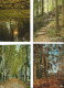 Delcampe - Lot N° 236 De 113 Cartes Postales De Paysages De Natures - 100 - 499 Postcards