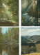 Delcampe - Lot N° 236 De 113 Cartes Postales De Paysages De Natures - 100 - 499 Cartes