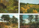 Delcampe - Lot N° 236 De 113 Cartes Postales De Paysages De Natures - 100 - 499 Postales