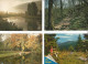 Delcampe - Lot N° 236 De 113 Cartes Postales De Paysages De Natures - 100 - 499 Postcards