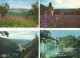 Delcampe - Lot N° 236 De 113 Cartes Postales De Paysages De Natures - 100 - 499 Postales