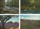 Delcampe - Lot N° 236 De 113 Cartes Postales De Paysages De Natures - 100 - 499 Postcards