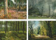 Delcampe - Lot N° 236 De 113 Cartes Postales De Paysages De Natures - 100 - 499 Postcards