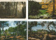 Delcampe - Lot N° 236 De 113 Cartes Postales De Paysages De Natures - 100 - 499 Postales