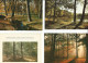 Delcampe - Lot N° 236 De 113 Cartes Postales De Paysages De Natures - 100 - 499 Postales