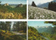 Delcampe - Lot N° 236 De 113 Cartes Postales De Paysages De Natures - 100 - 499 Postcards