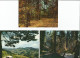 Delcampe - Lot N° 236 De 113 Cartes Postales De Paysages De Natures - 100 - 499 Postcards