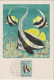 Carte Maximum, Poissons, Plasmarine, Publicité, 1955, Poisson Ange , Timbre, Mocambique, Heniochus Acuminatus. - Mozambique