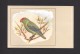 ANIMALS - ANIMAUX - OISEAUX - BIRDS - AGAPORNIS TARENTA - LOVE BIRD -  PAR P. SLUIS - Oiseaux