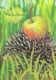 New Year Bird Butterfly Hedgehog Dandelion Aster  Apple On Russia USSR Mint Postcard From 1987 Carte Postale - 1980-91