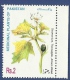 PAKISTAN 1998 MNH MEDICINAL PLANT OF PAKISTAN PLANTS - Pakistan