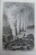 TOUR DU MONDE 1866:L'AFRIQUE AUSTRALE/LIVINGSTONE COUR ROI SHINTE/VILLE DE LOANDA/MARCHANDS D'ESCLAVES/MOUCHE TSETSE - Zeitschriften - Vor 1900