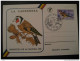 ANDORRA 1985 Proteccion Naturaleza Cadernera Coll Verd Pajaro Bird Pato Oca Oie 2 Maxima Maxi Card Maximum Card Andorra - Maximum Cards