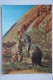 Old Stereo Postcard -  Toppan  3D PC - Kangaroo - Stereoscopische Kaarten