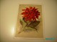 USSR RUSSIA  FLOWERS , 1959 POSTAL STATIONERY POSTCARD ,0 - 1950-59