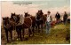 SCENES DE LA VIE NORMANDE. LE LABOUR. 1919. CARTE COLORISEE. - Farmers