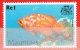 Delcampe - MNH** Mauritius - Maurice - Série Poissons - Collection De 6 Timbres Neufs - - Maurice (1968-...)