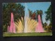 POSTCARD TORINO PARCO DEL VALENTINO (ITALIA) ANNI 60 - Parcs & Jardins