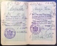 Delcampe - Passport Kingdom Of Serbs, Croats And Slovenes Published In Germany With One Revenue Stamp (207.) - Historical Documents