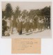 Photographie - Le Serment Des Jeunes Campeurs Au Maréchal - Camp De Serval (Oise) - 1941 - Guerre, Militaire
