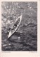 AK Vom Winde Getrieben - Ruderboot - 1954 (21745) - Rowing