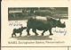 Suisse : Entier N° 182-044 Obl 10/081957  Zoo De Bâle-Bazel - Rhinocéros