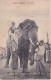 POSTAL DE TUSKER ELEPHANT EN COLOMBO (CEILAN) (ELEFANTE) (PRINTED IN SAXONY) - Sri Lanka (Ceilán)